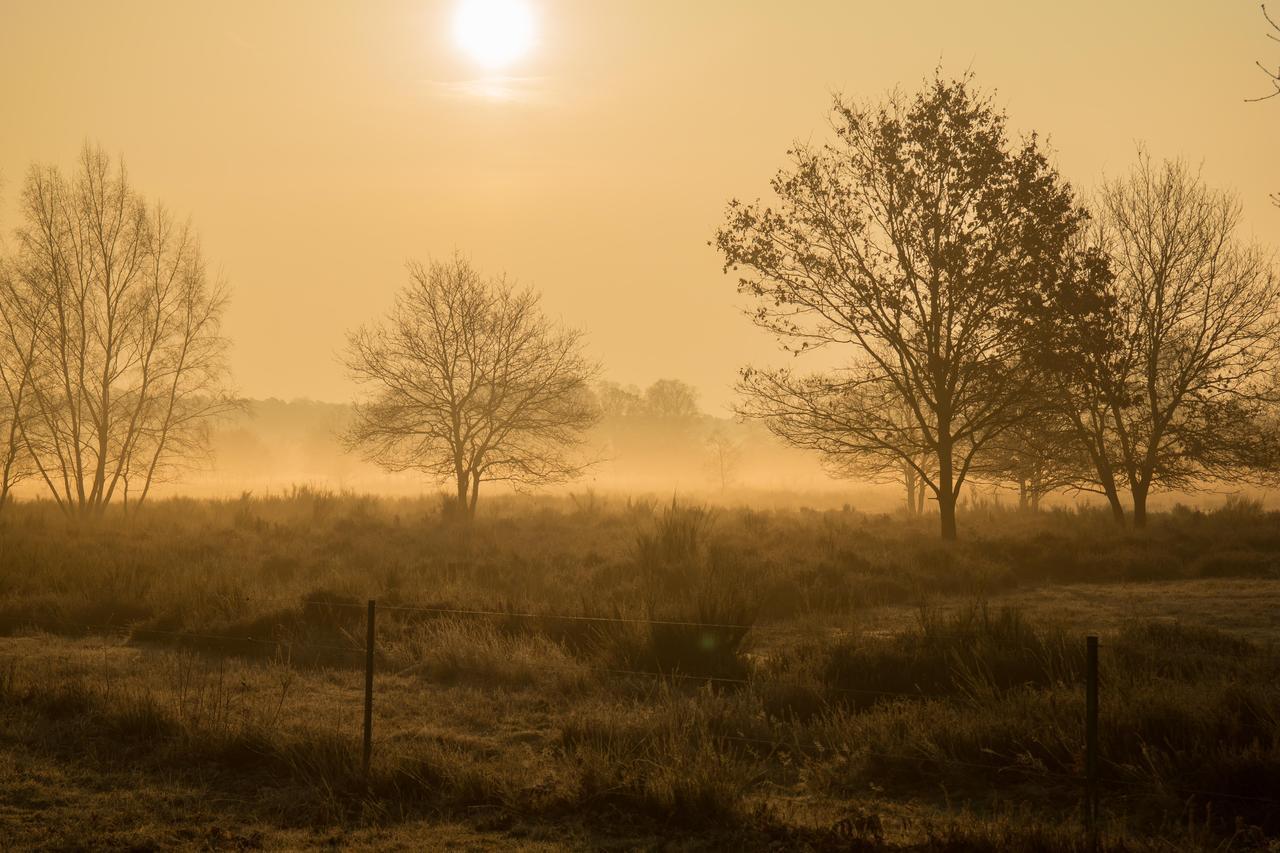 De Vrolijcke Bosmuis Bed & Breakfast Bergeijk Bagian luar foto