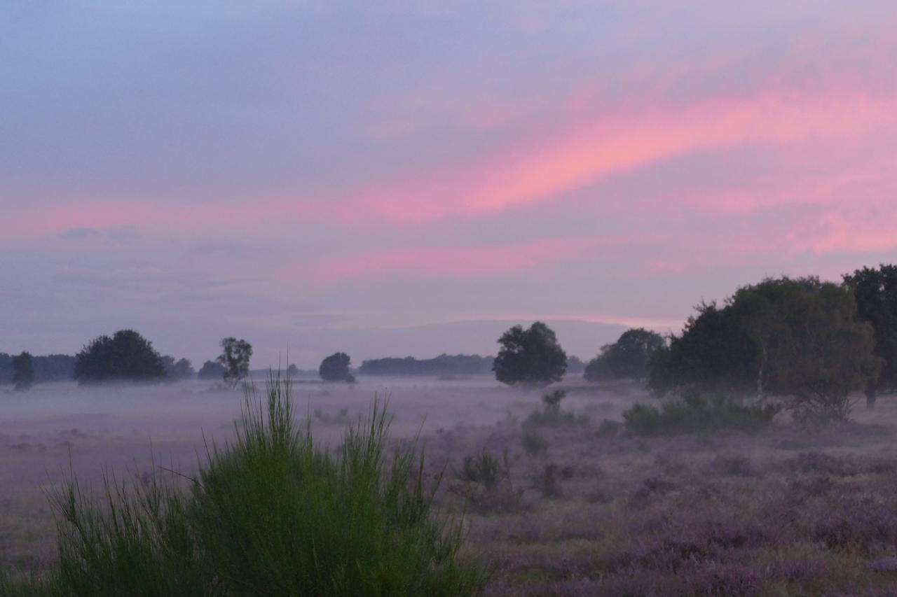 De Vrolijcke Bosmuis Bed & Breakfast Bergeijk Bagian luar foto
