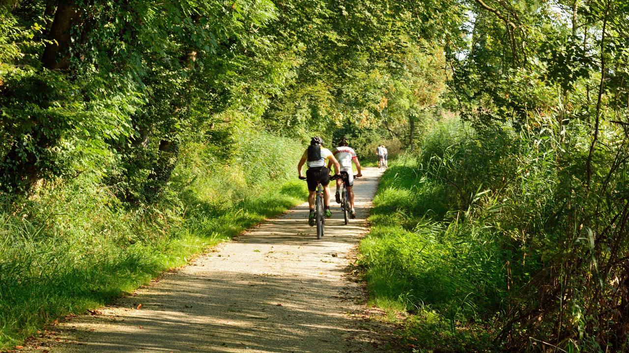 De Vrolijcke Bosmuis Bed & Breakfast Bergeijk Bagian luar foto